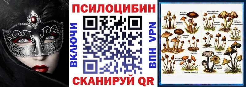Галлюциногенные грибы Psilocybe  Вышний Волочёк 